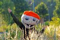 IMG_2290a